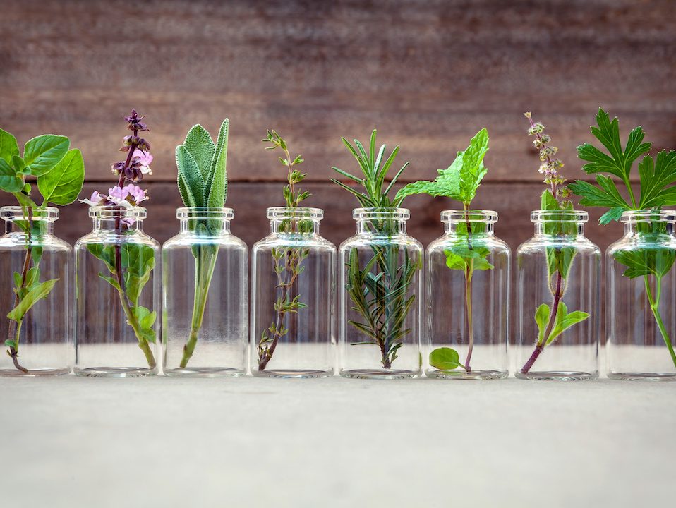 Bottle of essential oil with herbs holy basil flower, basil flower,rosemary,oregano, sage,parsley ,thyme and mint set up on old wooden background .